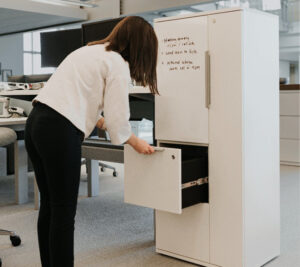 General Storage Cabinet with Divider