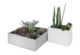 Square white Chaco planters