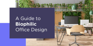 A Guide to biophilic office design